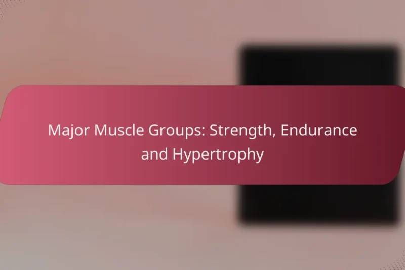 Principali Gruppi Muscolari: Forza, Resistenza e Ipertrofia